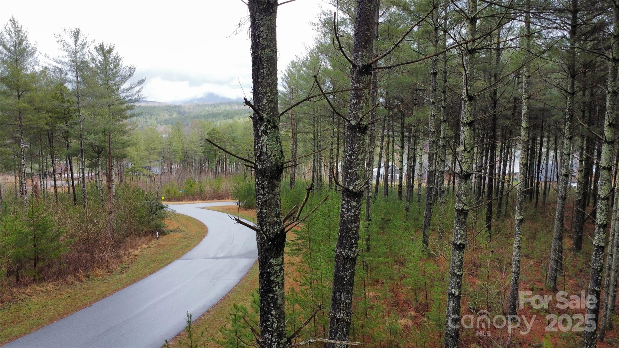 26 Peninsula Reserve Road Nebo NC 28761