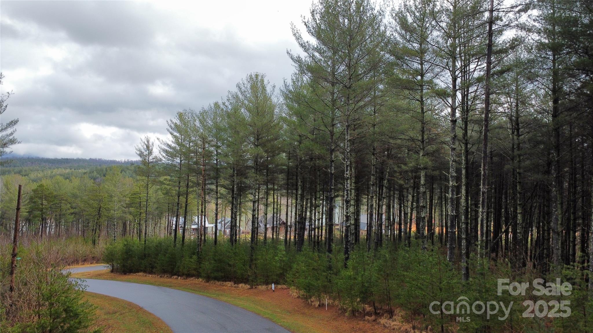26 Peninsula Reserve Road Nebo NC 28761
