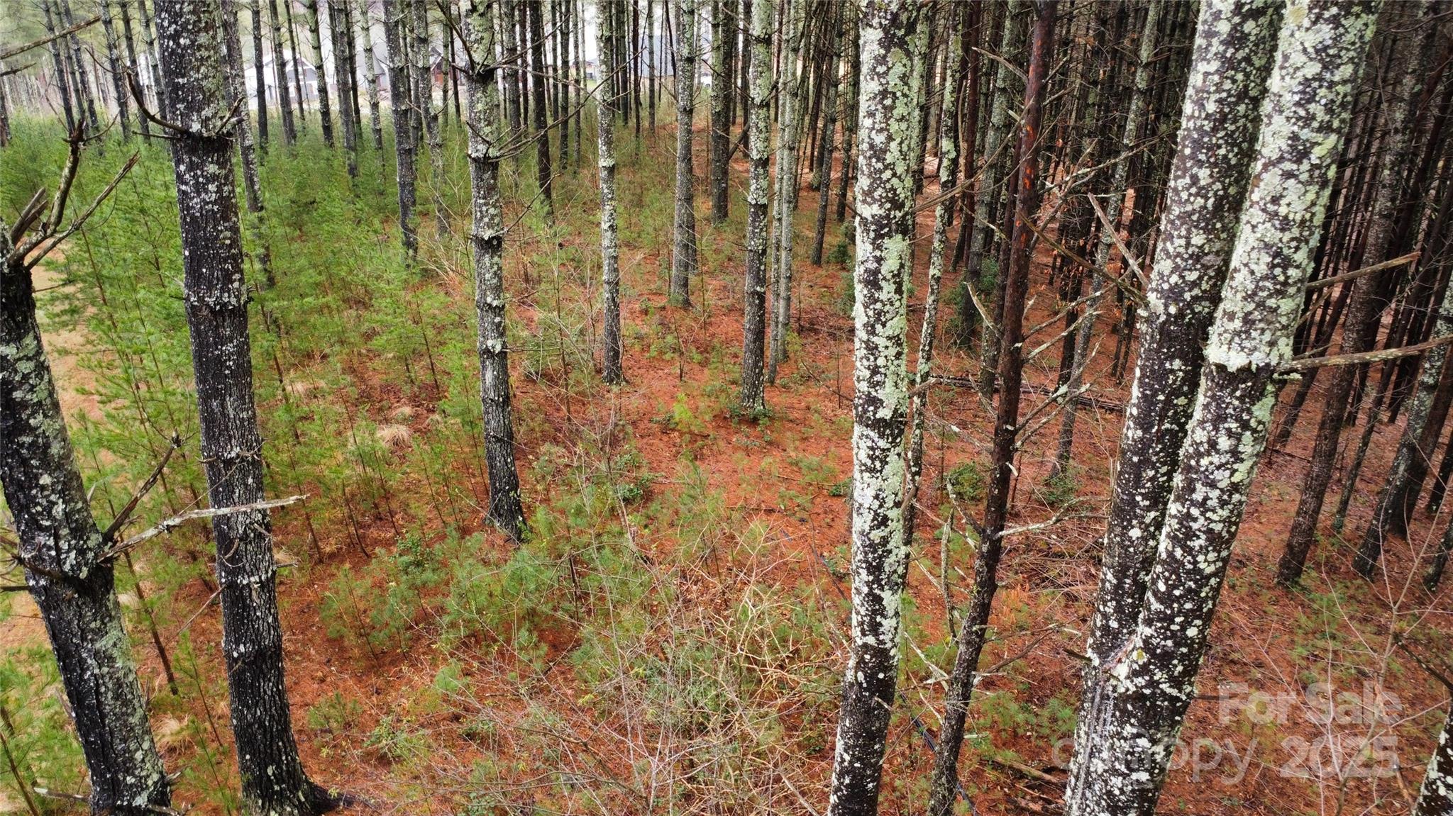 26 Peninsula Reserve Road Nebo NC 28761