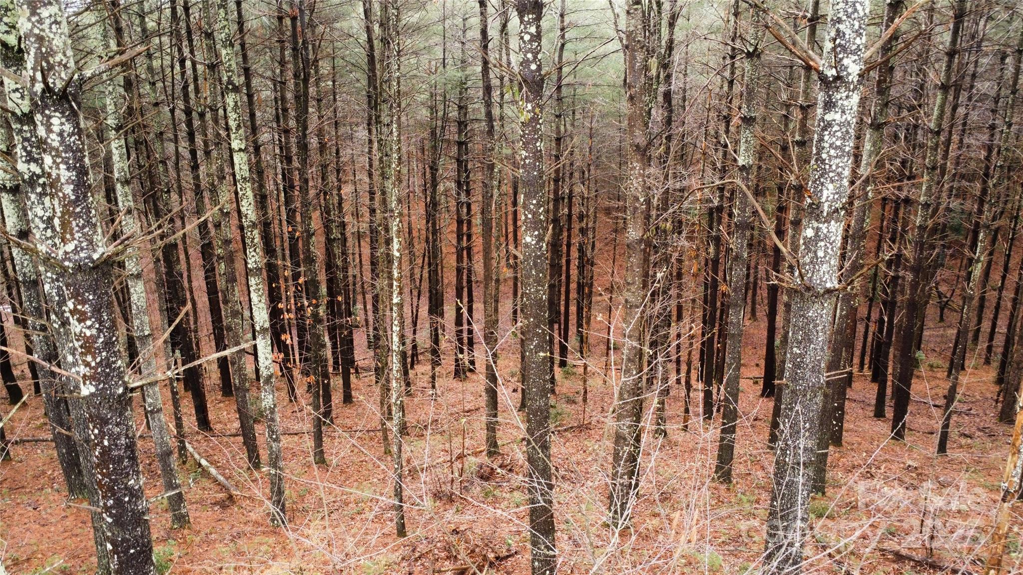 26 Peninsula Reserve Road Nebo NC 28761