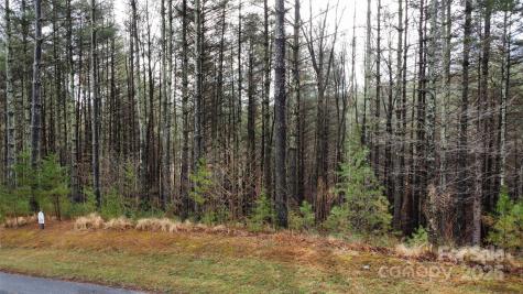 26 Peninsula Reserve Road Nebo NC 28761