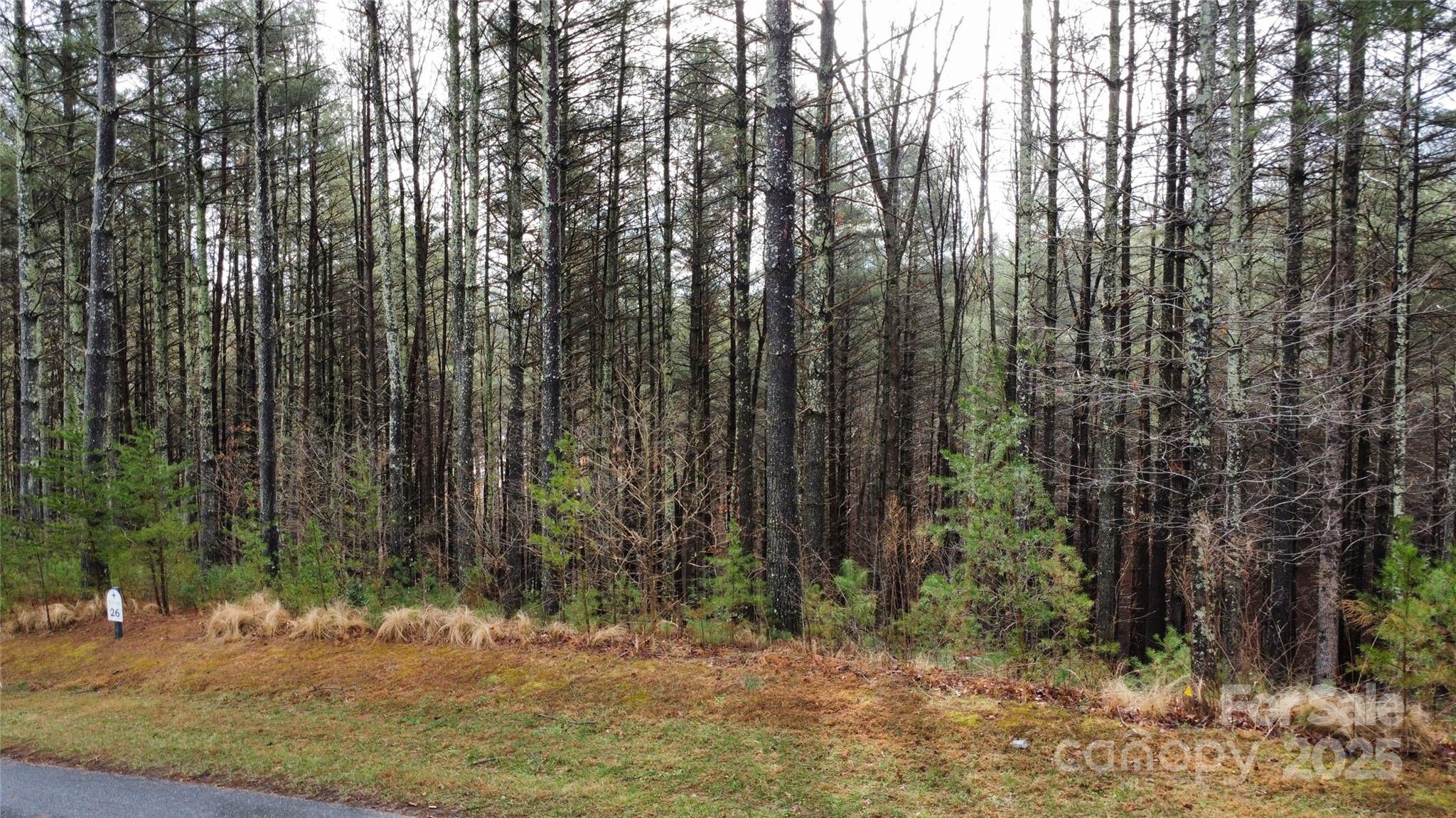26 Peninsula Reserve Road Nebo NC 28761