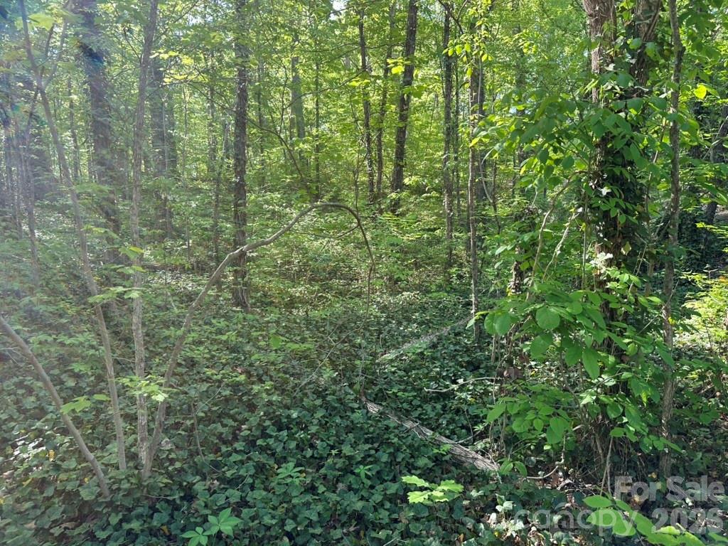 0 Lawton Lane Salisbury NC 28144
