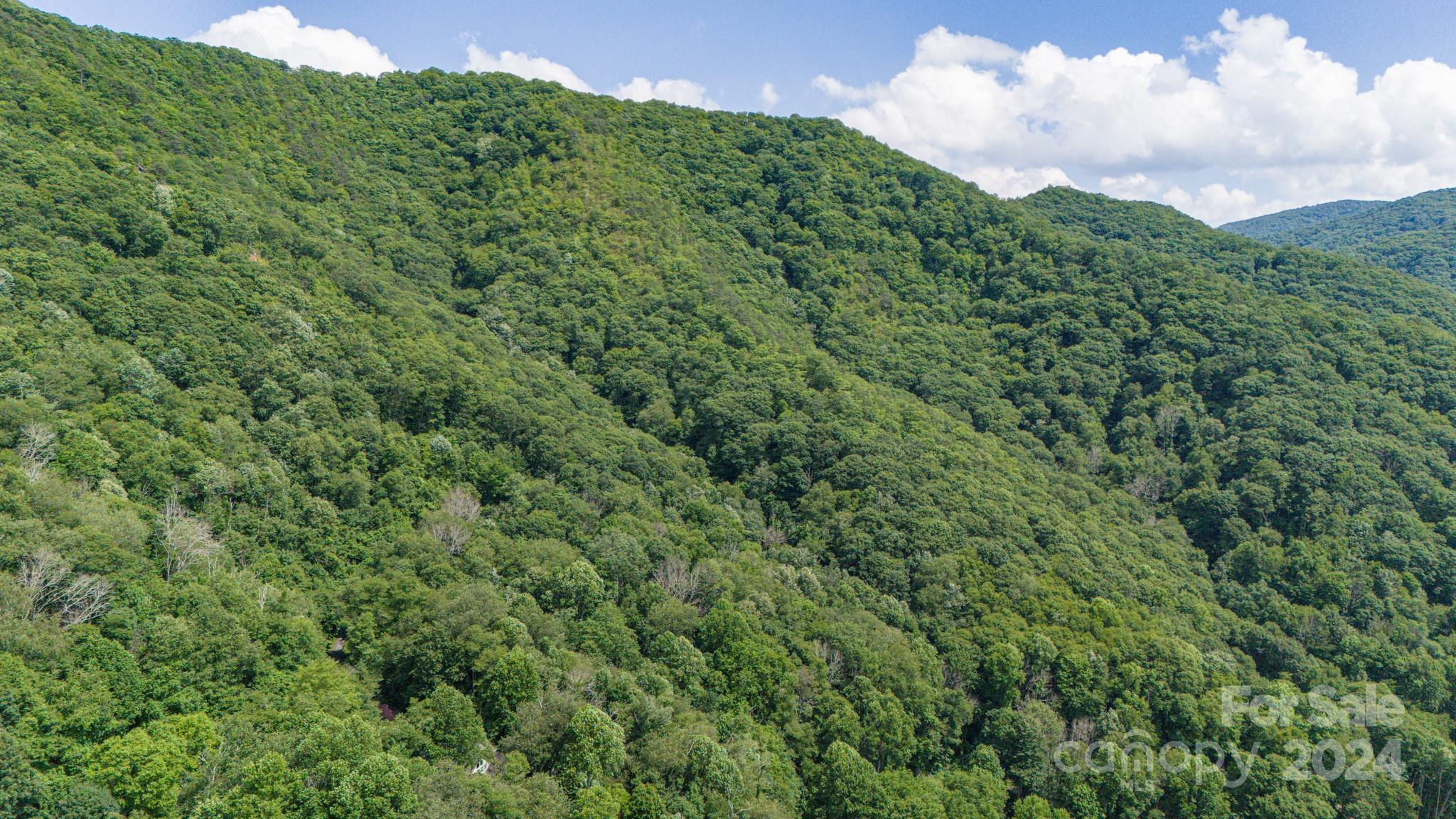 35 Twisted Trail Waynesville NC 28786