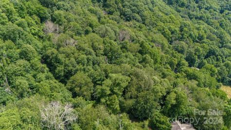 35 Twisted Trail Waynesville NC 28786