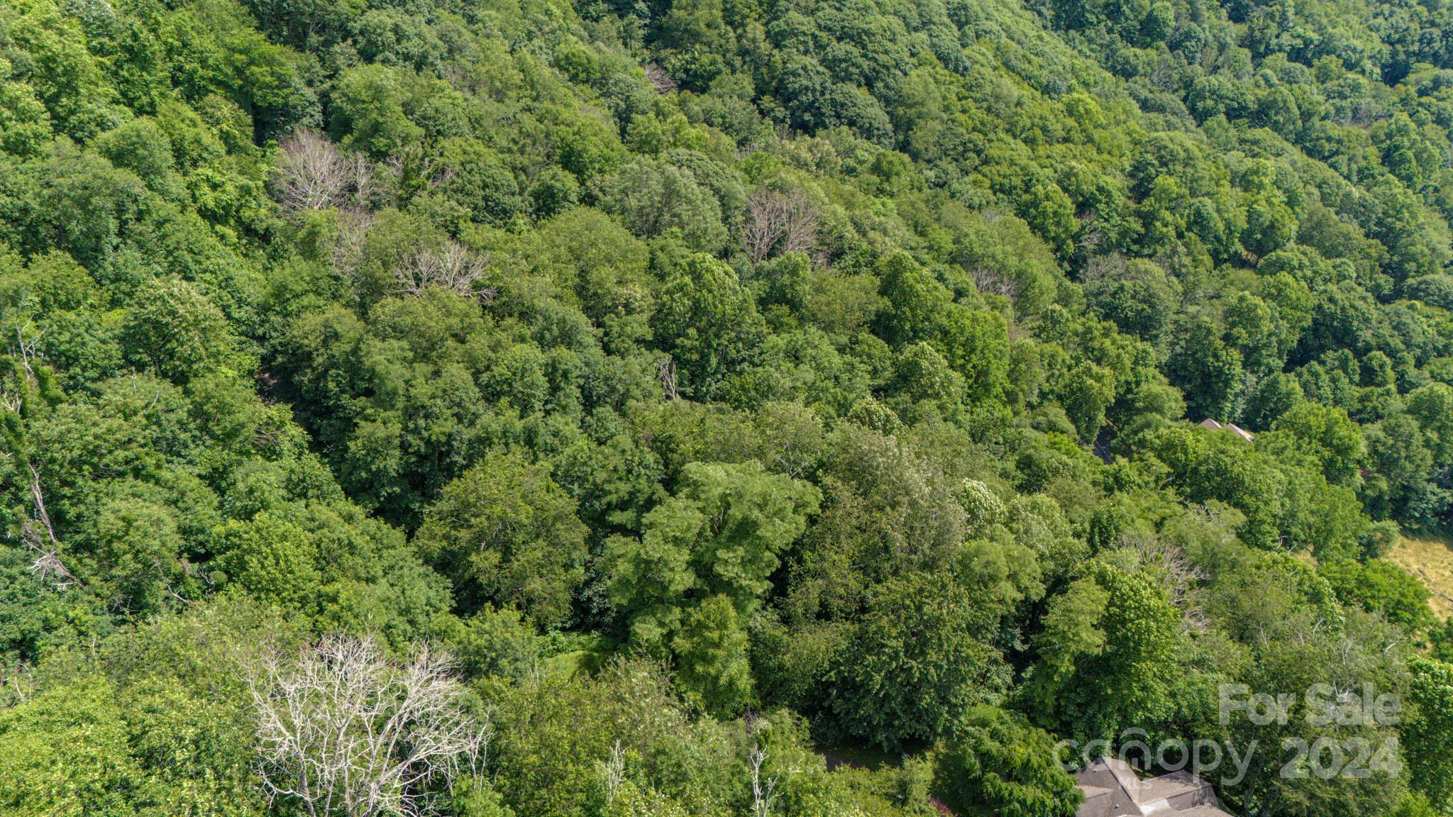35 Twisted Trail Waynesville NC 28786