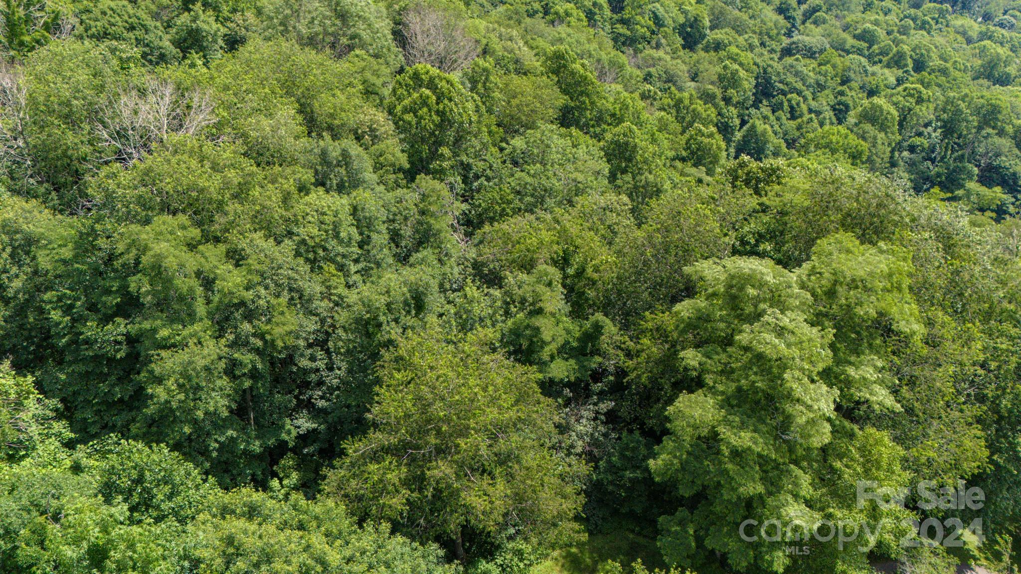 35 Twisted Trail Waynesville NC 28786