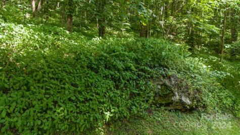 35 Twisted Trail Waynesville NC 28786