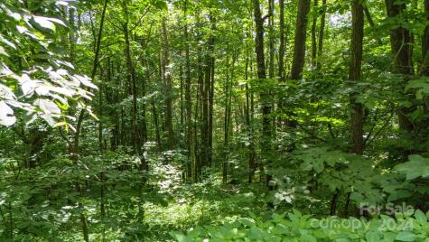 35 Twisted Trail Waynesville NC 28786