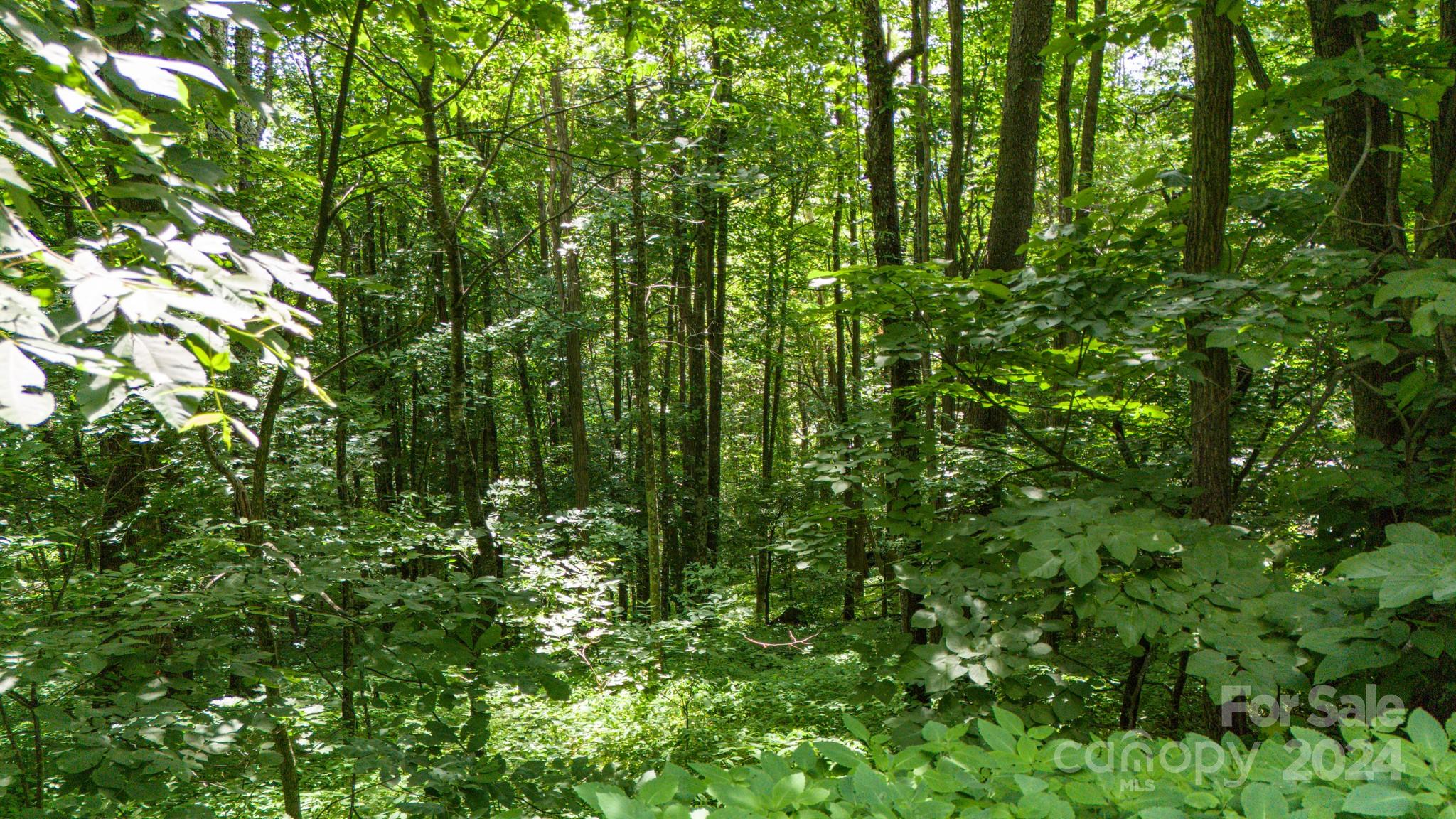 35 Twisted Trail Waynesville NC 28786