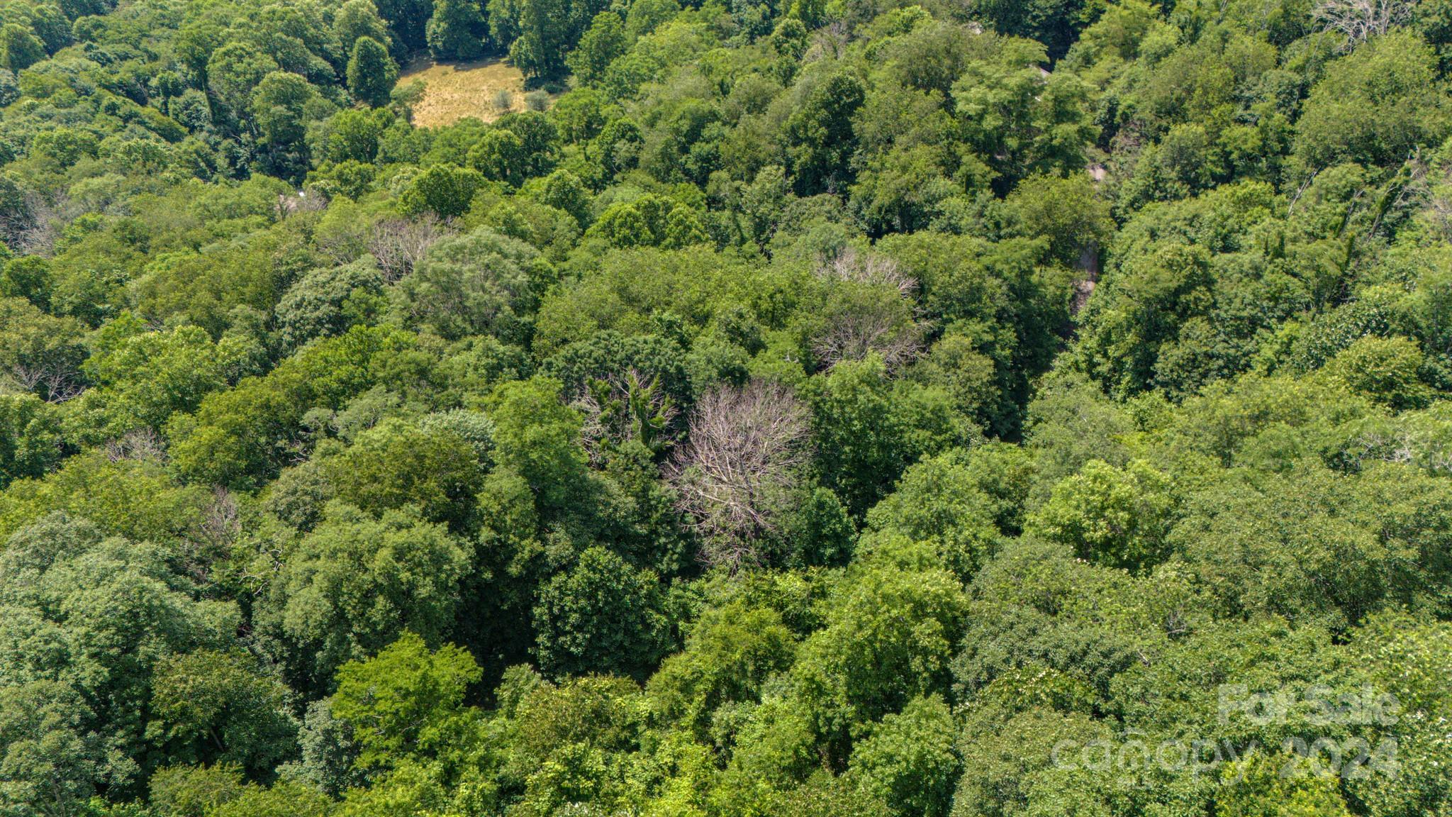 35 Twisted Trail Waynesville NC 28786