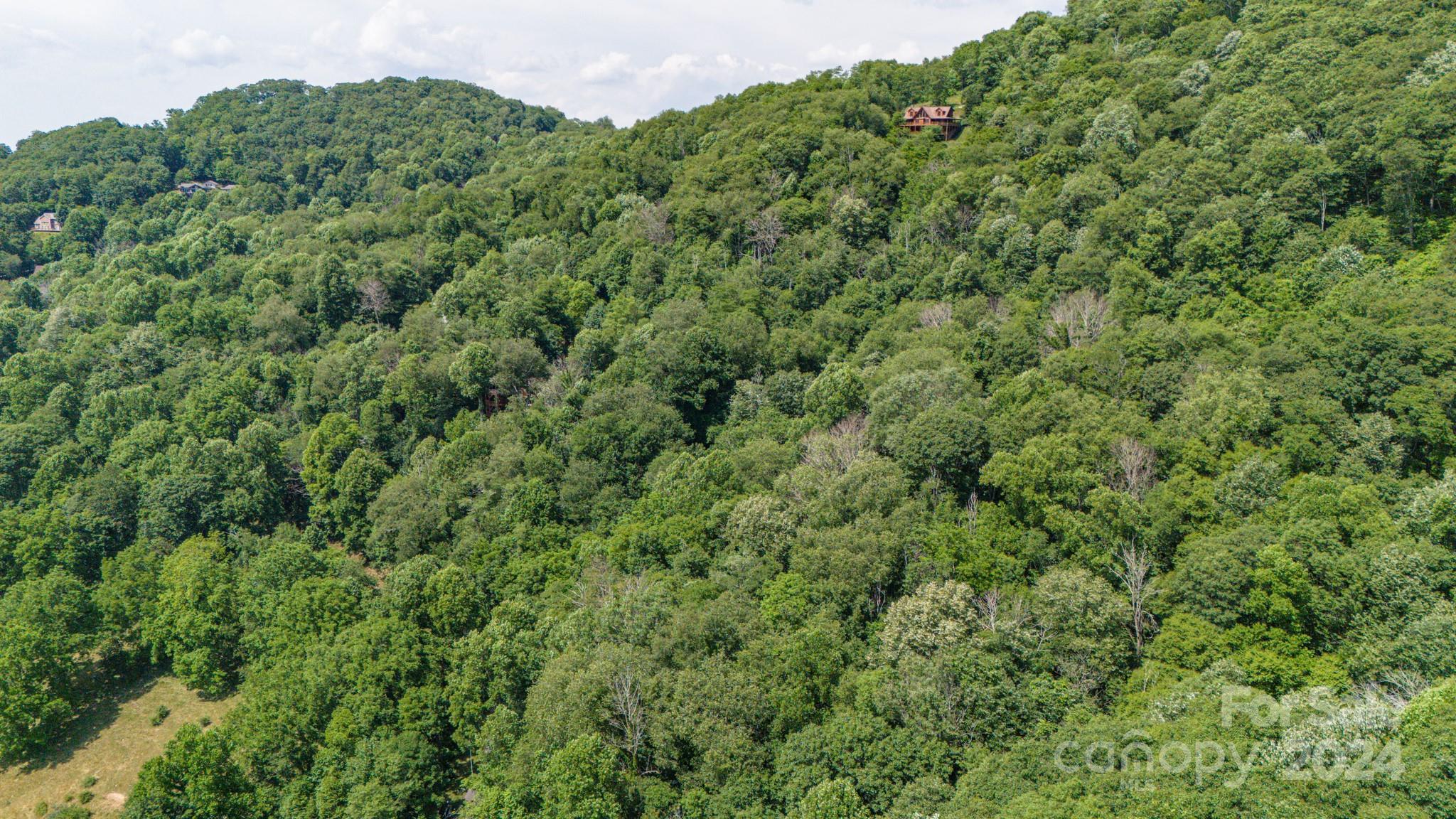 35 Twisted Trail Waynesville NC 28786