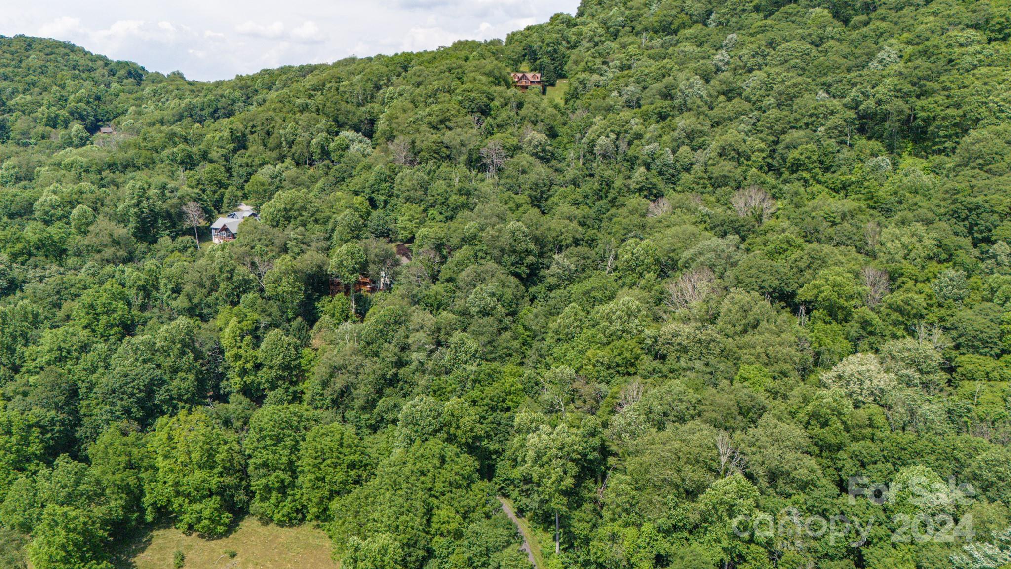 35 Twisted Trail Waynesville NC 28786
