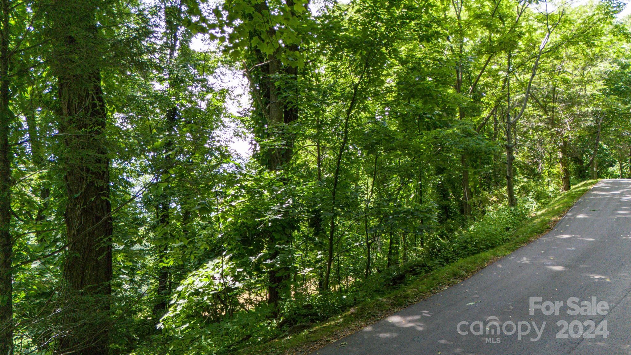 35 Twisted Trail Waynesville NC 28786
