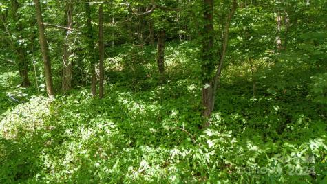 35 Twisted Trail Waynesville NC 28786
