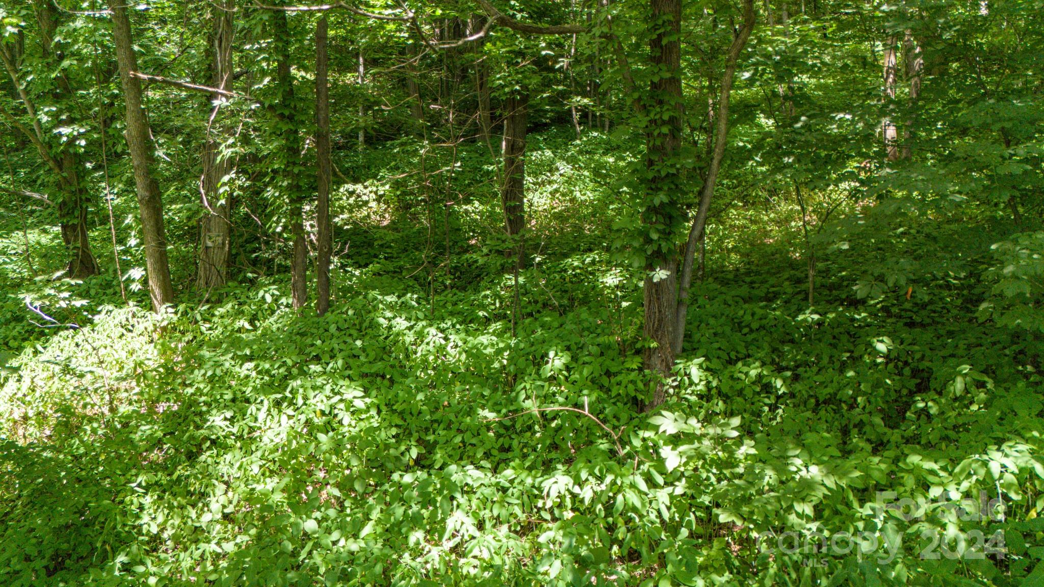 35 Twisted Trail Waynesville NC 28786