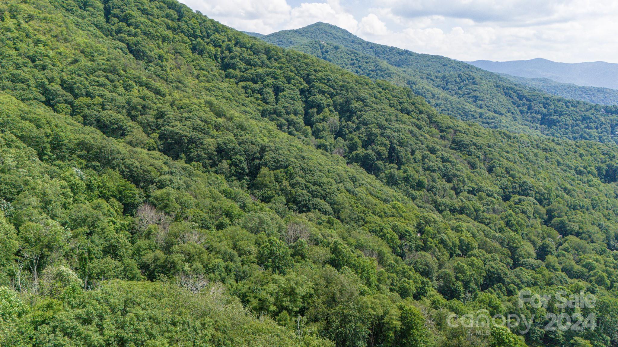 35 Twisted Trail Waynesville NC 28786
