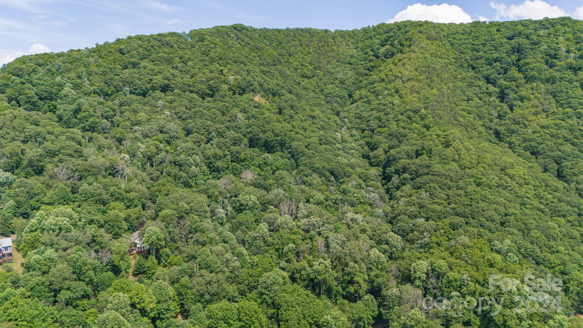 35 Twisted Trail Waynesville NC 28786