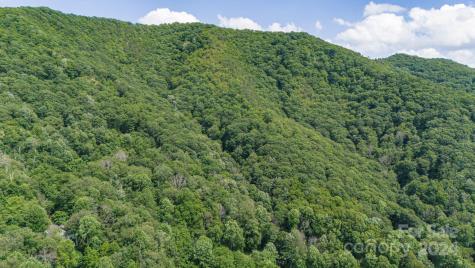 35 Twisted Trail Waynesville NC 28786