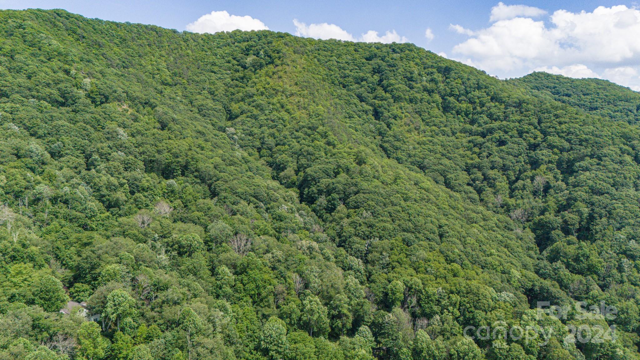 35 Twisted Trail Waynesville NC 28786