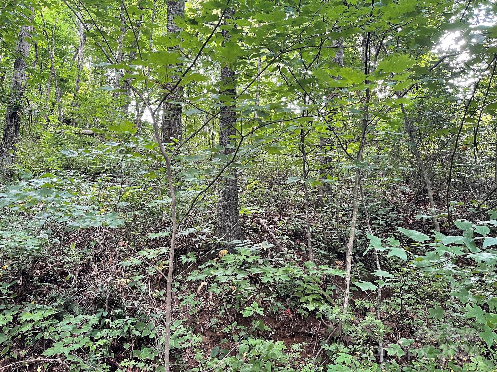 Tbd Friendly Acres Drive Waynesville NC 28786