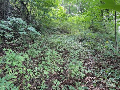 Tbd Friendly Acres Drive Waynesville NC 28786