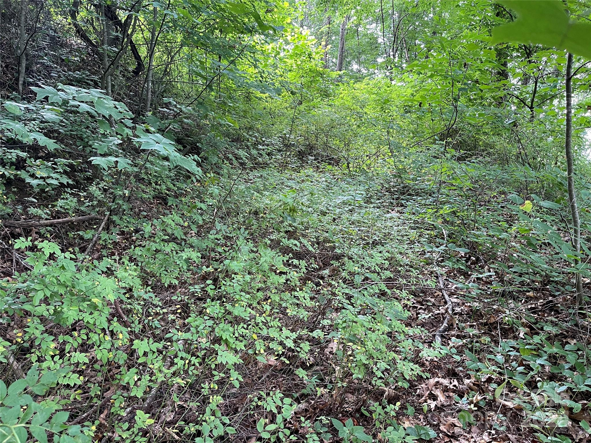Tbd Friendly Acres Drive Waynesville NC 28786