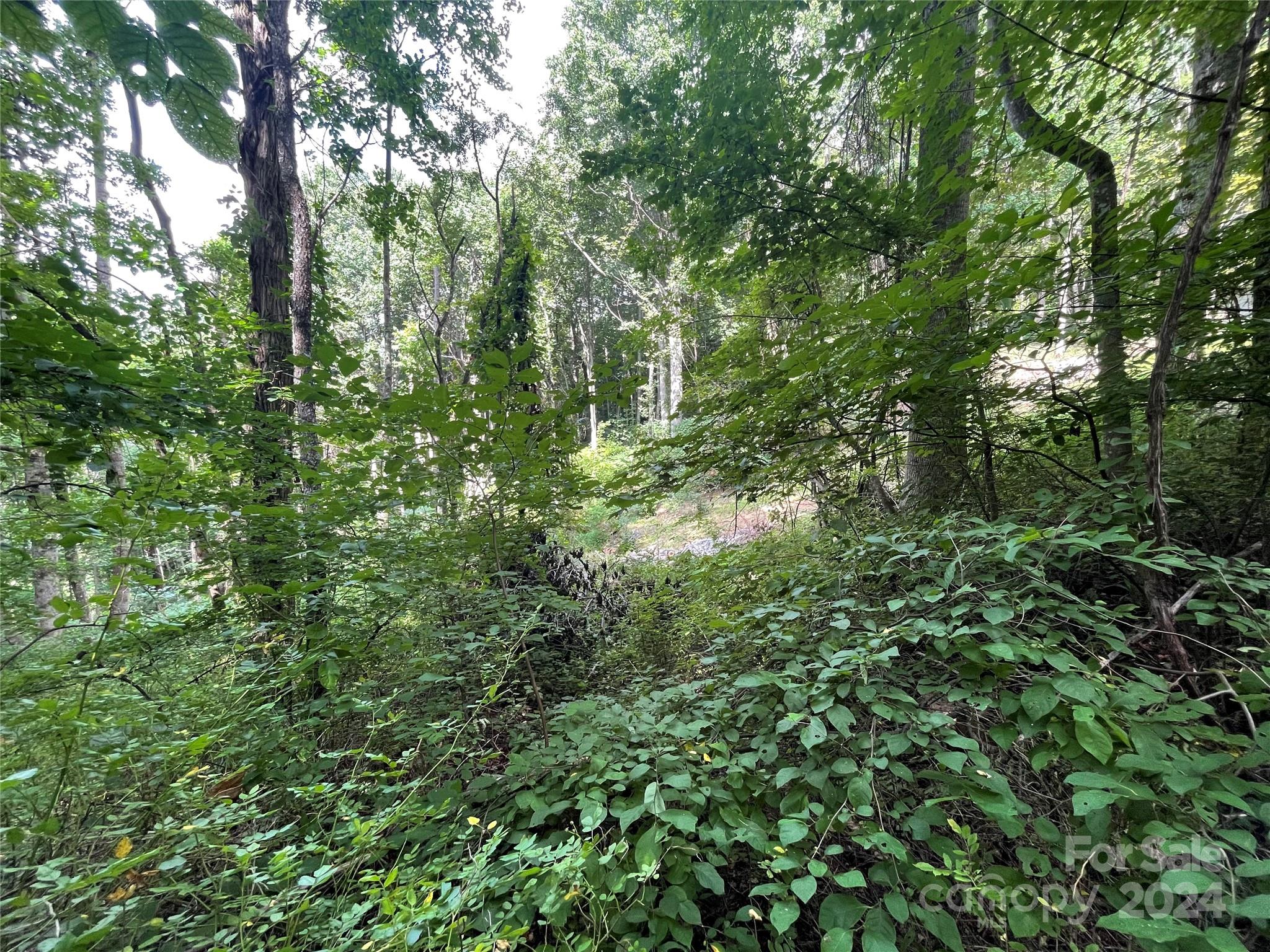 Tbd Friendly Acres Drive Waynesville NC 28786