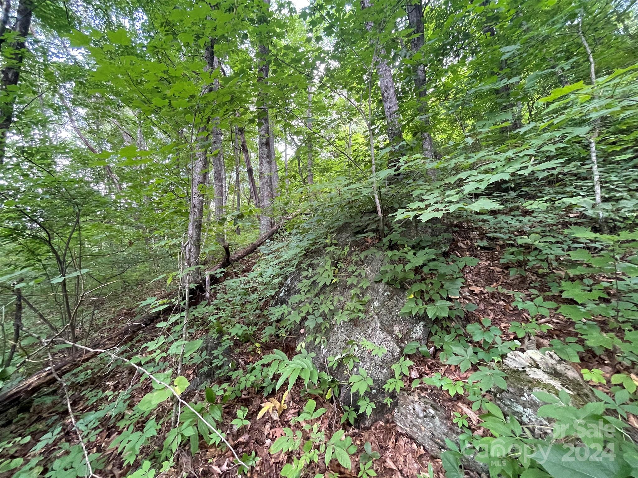 Tbd Friendly Acres Drive Waynesville NC 28786