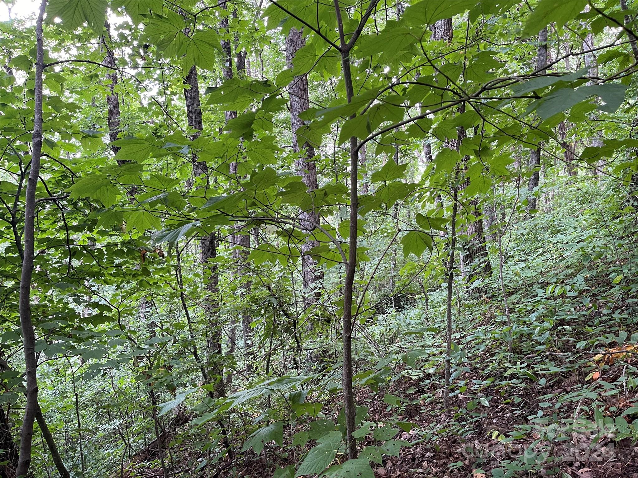 Tbd Friendly Acres Drive Waynesville NC 28786