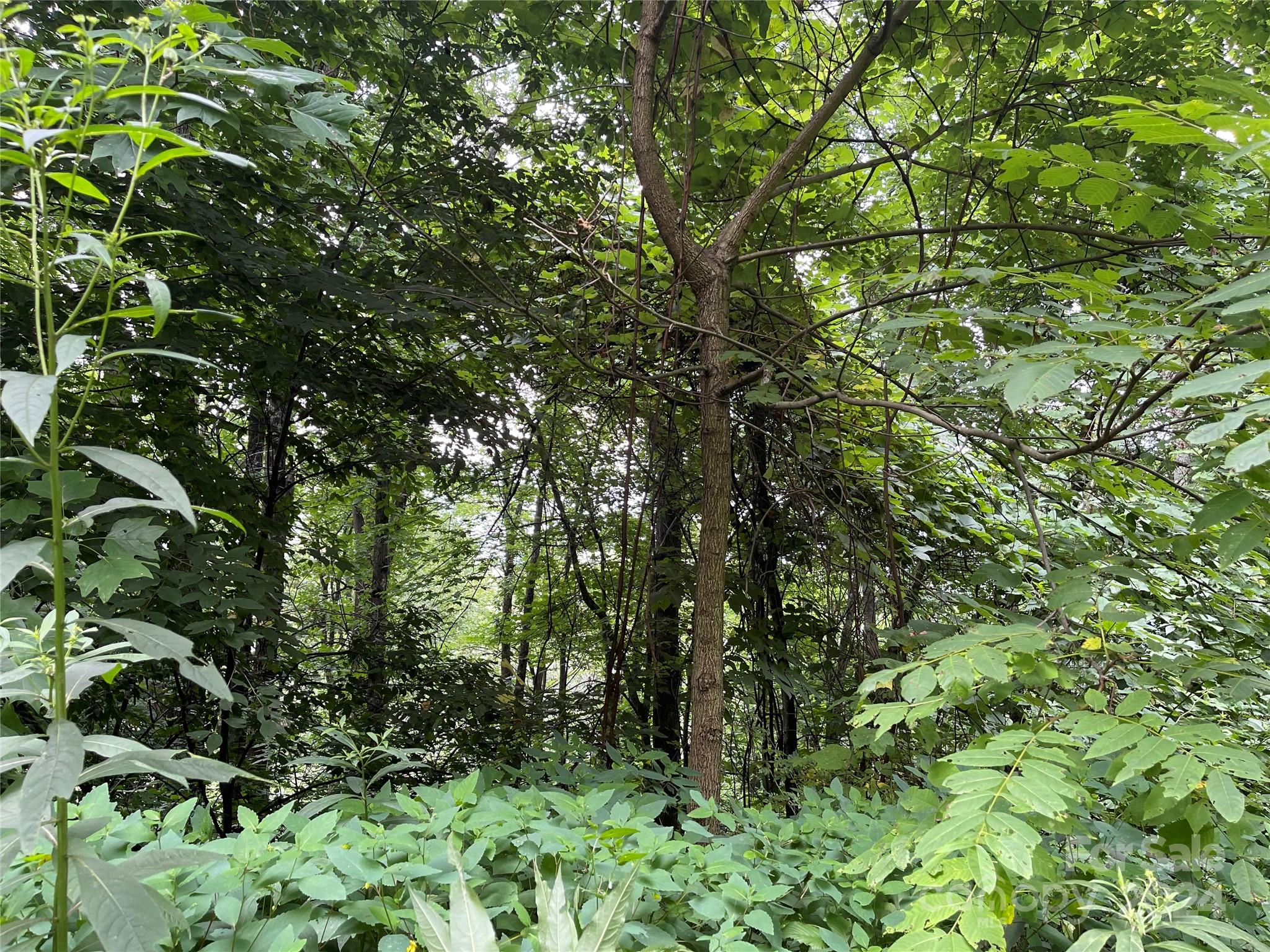 Tbd Friendly Acres Drive Waynesville NC 28786