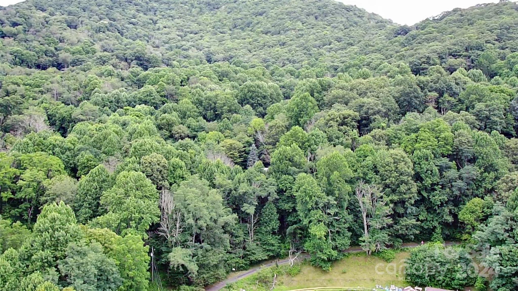 Tbd Friendly Acres Drive Waynesville NC 28786