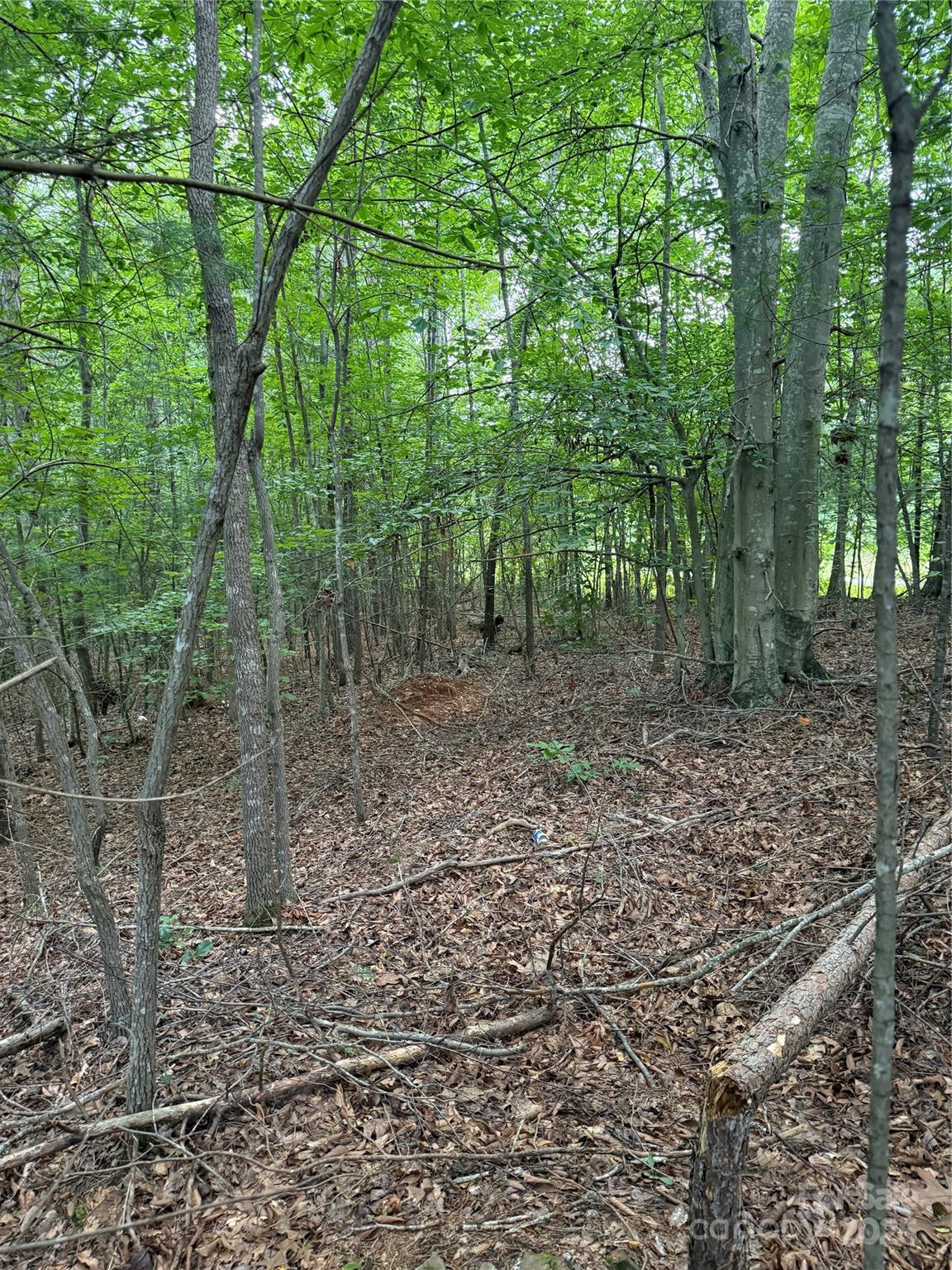 3994 Seitz Road Morganton NC 28655