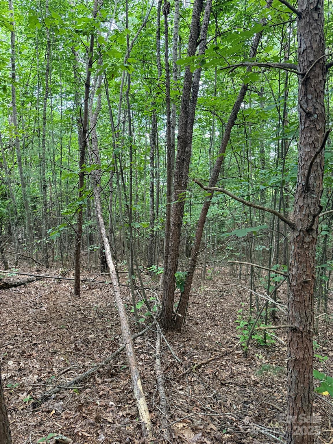 3994 Seitz Road Morganton NC 28655