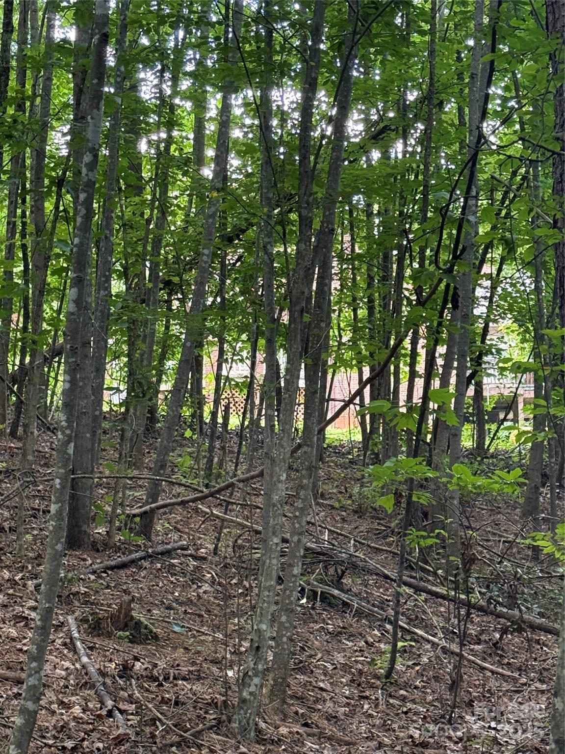 3994 Seitz Road Morganton NC 28655
