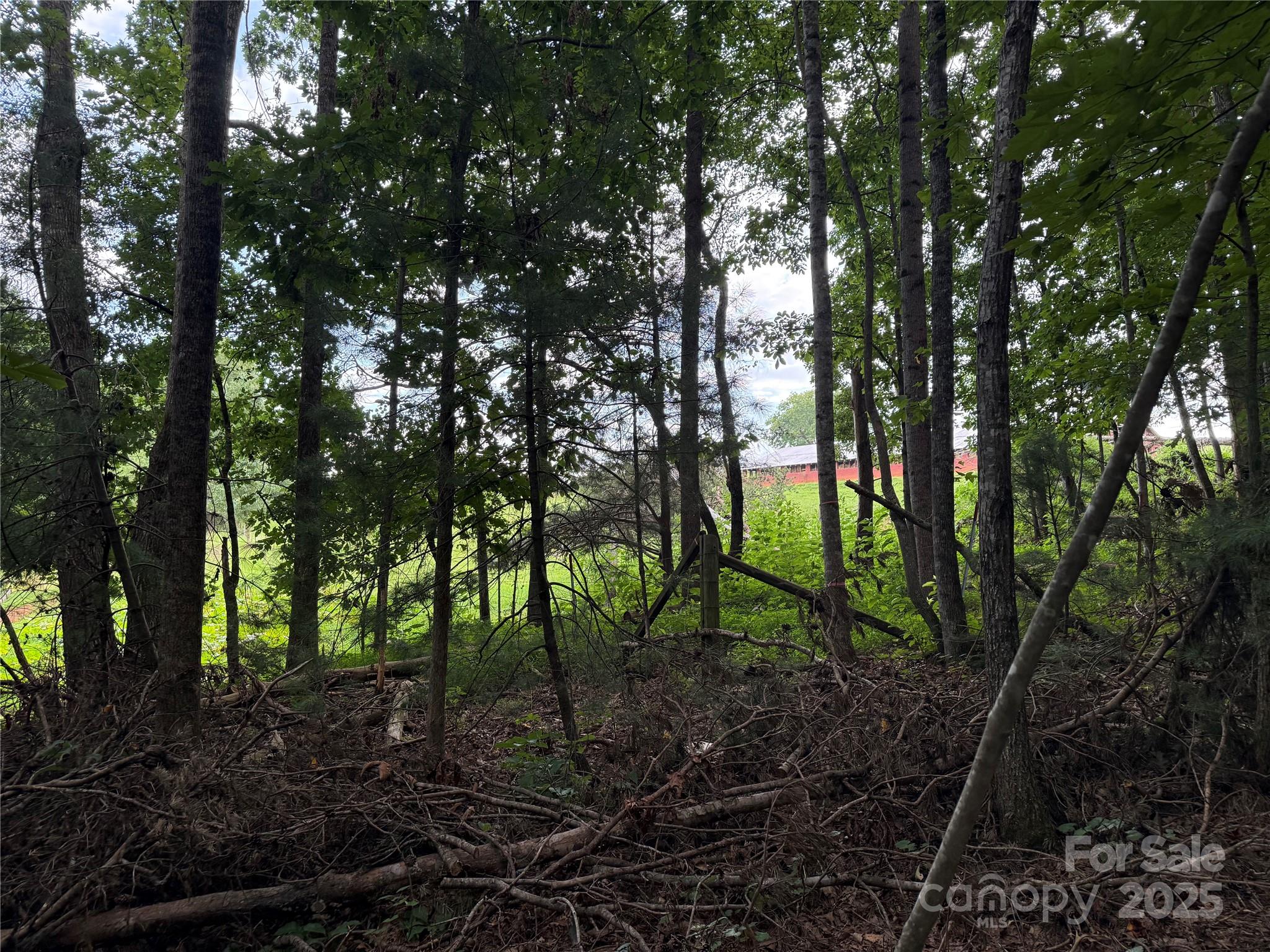 3994 Seitz Road Morganton NC 28655