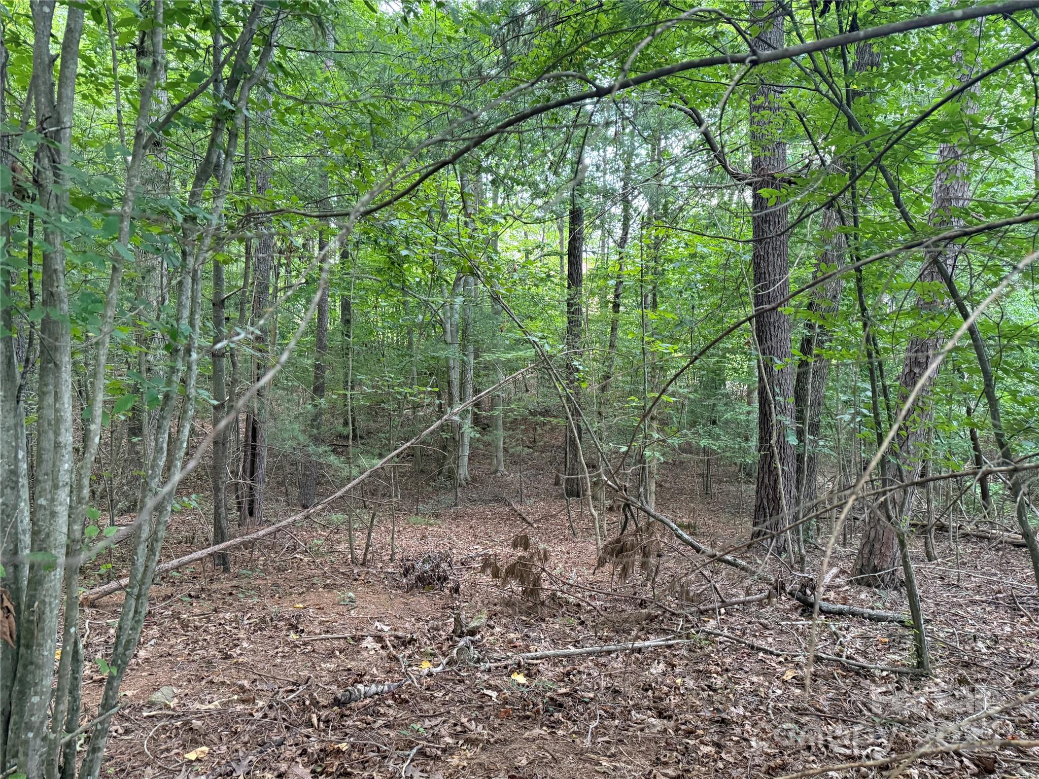 3994 Seitz Road Morganton NC 28655