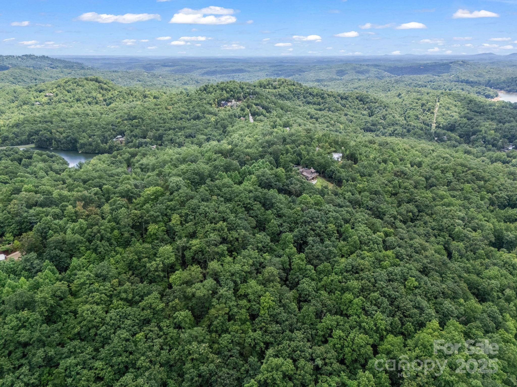 Lot 42 Hawks Nest Trail Lake Lure NC 28746