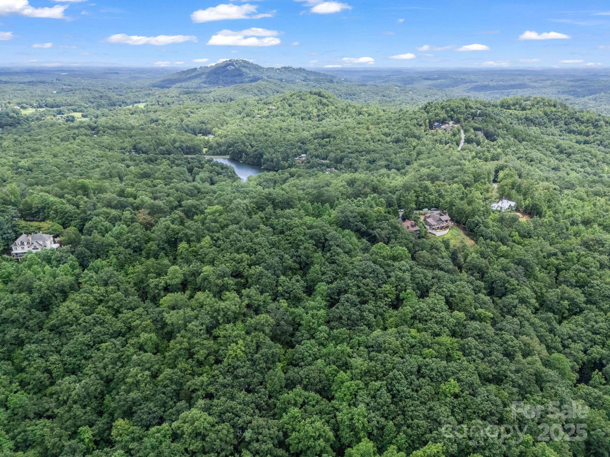 Lot 42 Hawks Nest Trail Lake Lure NC 28746