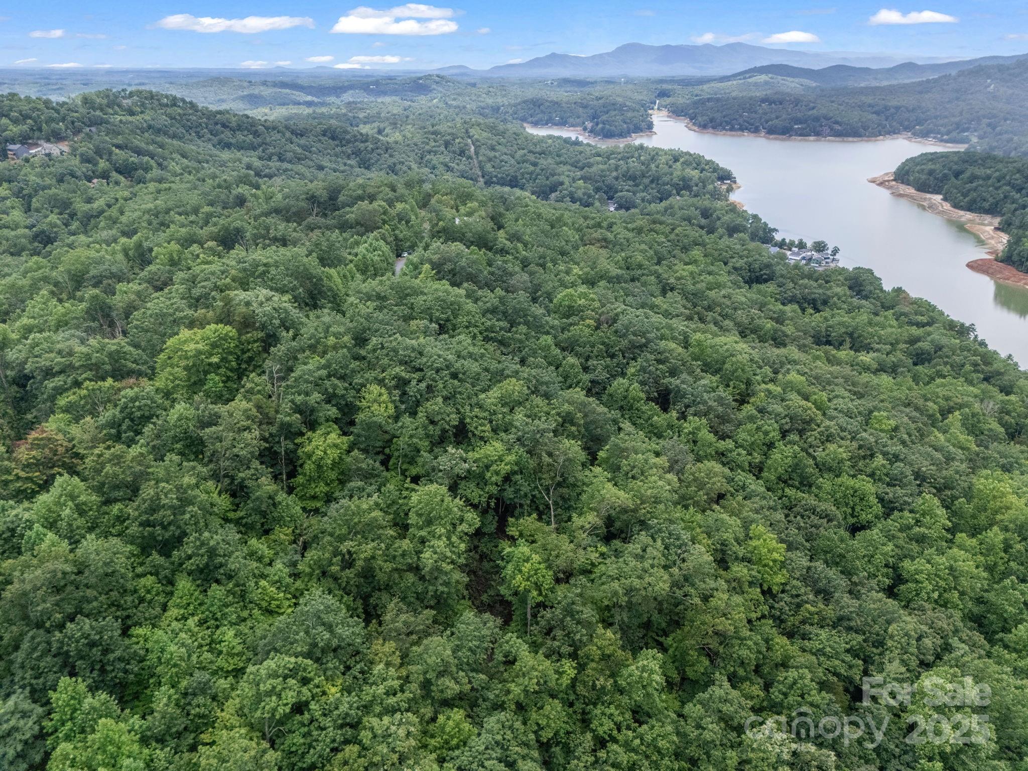 Lot 42 Hawks Nest Trail Lake Lure NC 28746