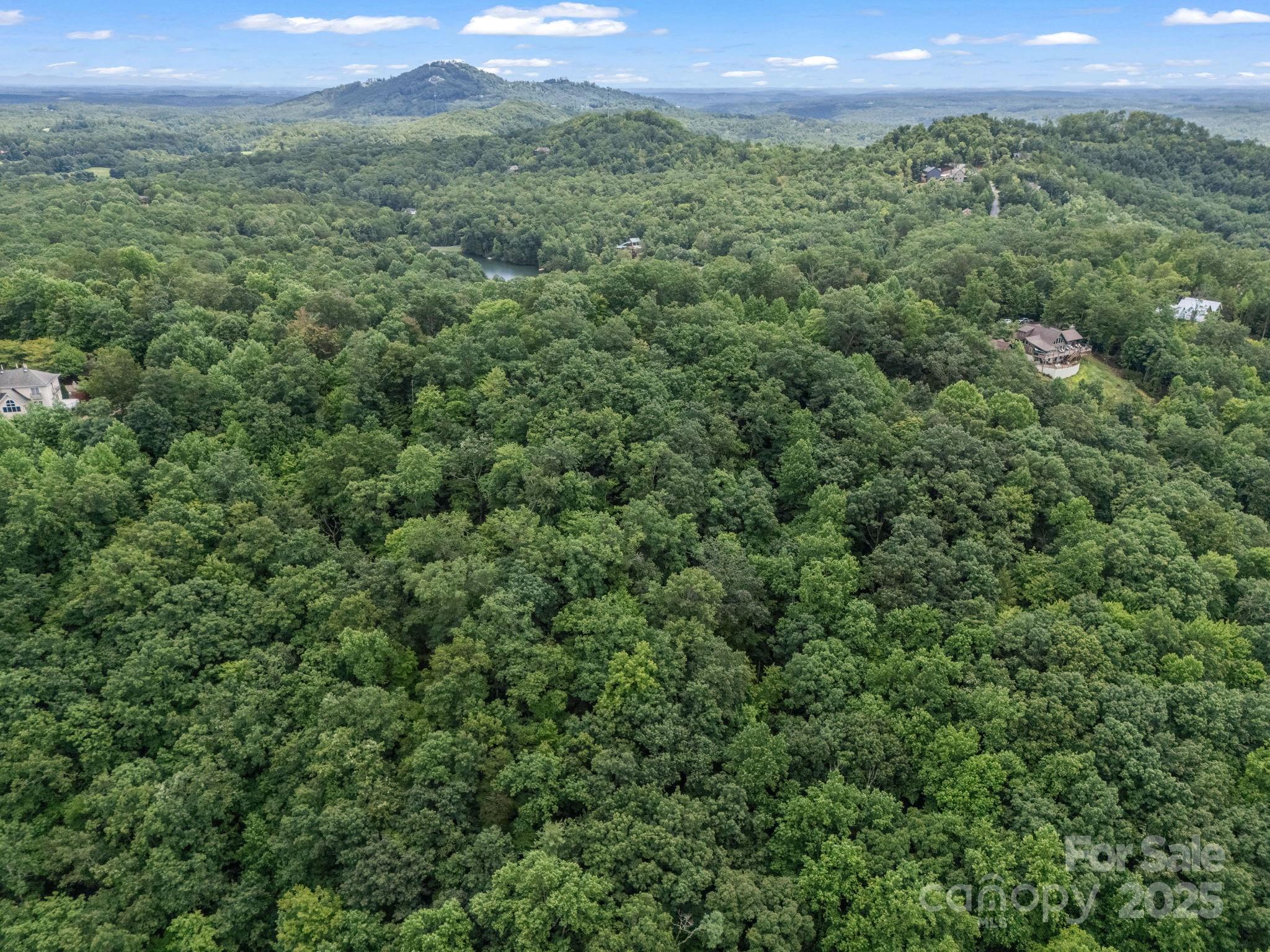Lot 42 Hawks Nest Trail Lake Lure NC 28746