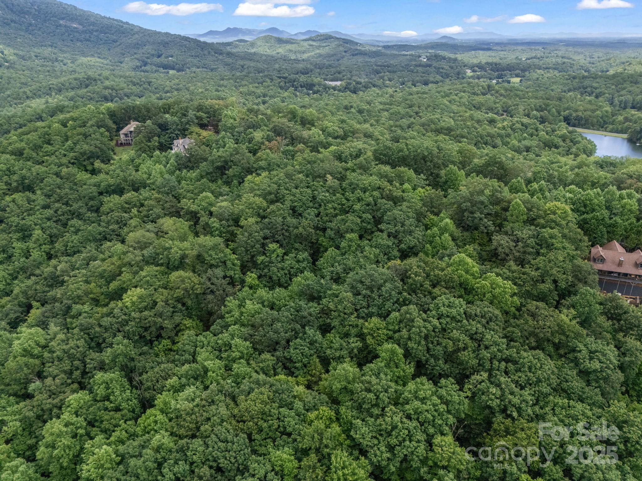 Lot 42 Hawks Nest Trail Lake Lure NC 28746