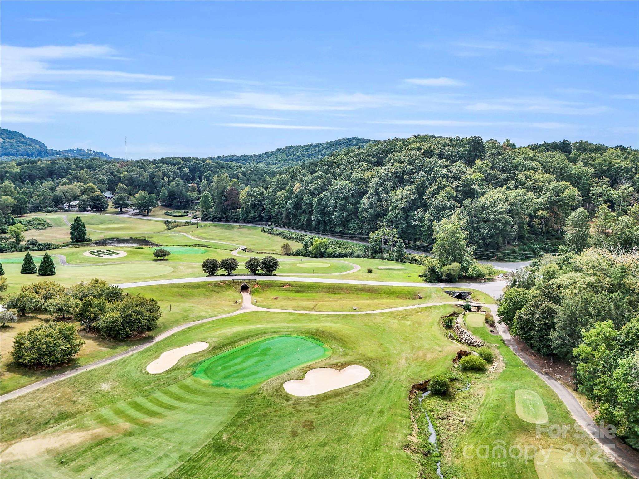 Lot 42 Hawks Nest Trail Lake Lure NC 28746