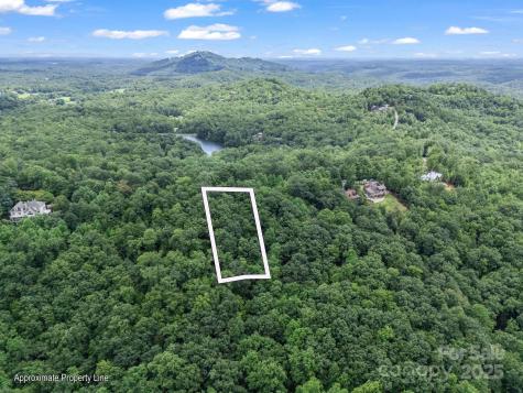 Lot 42 Hawks Nest Trail Lake Lure NC 28746