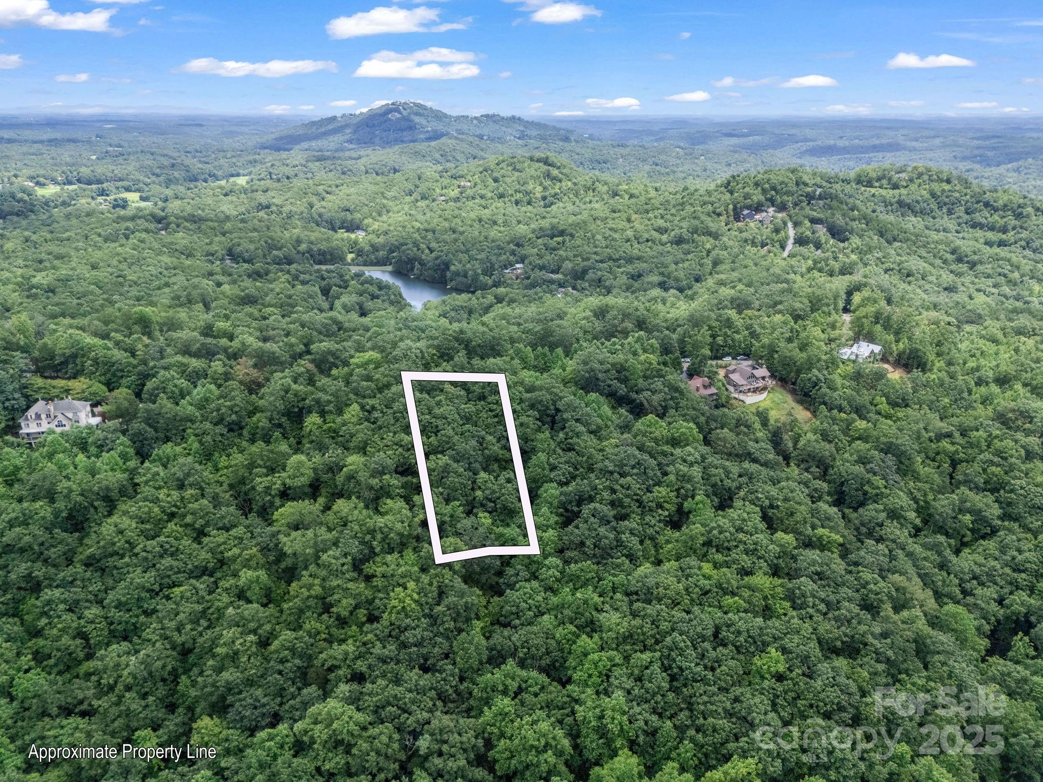 Lot 42 Hawks Nest Trail Lake Lure NC 28746