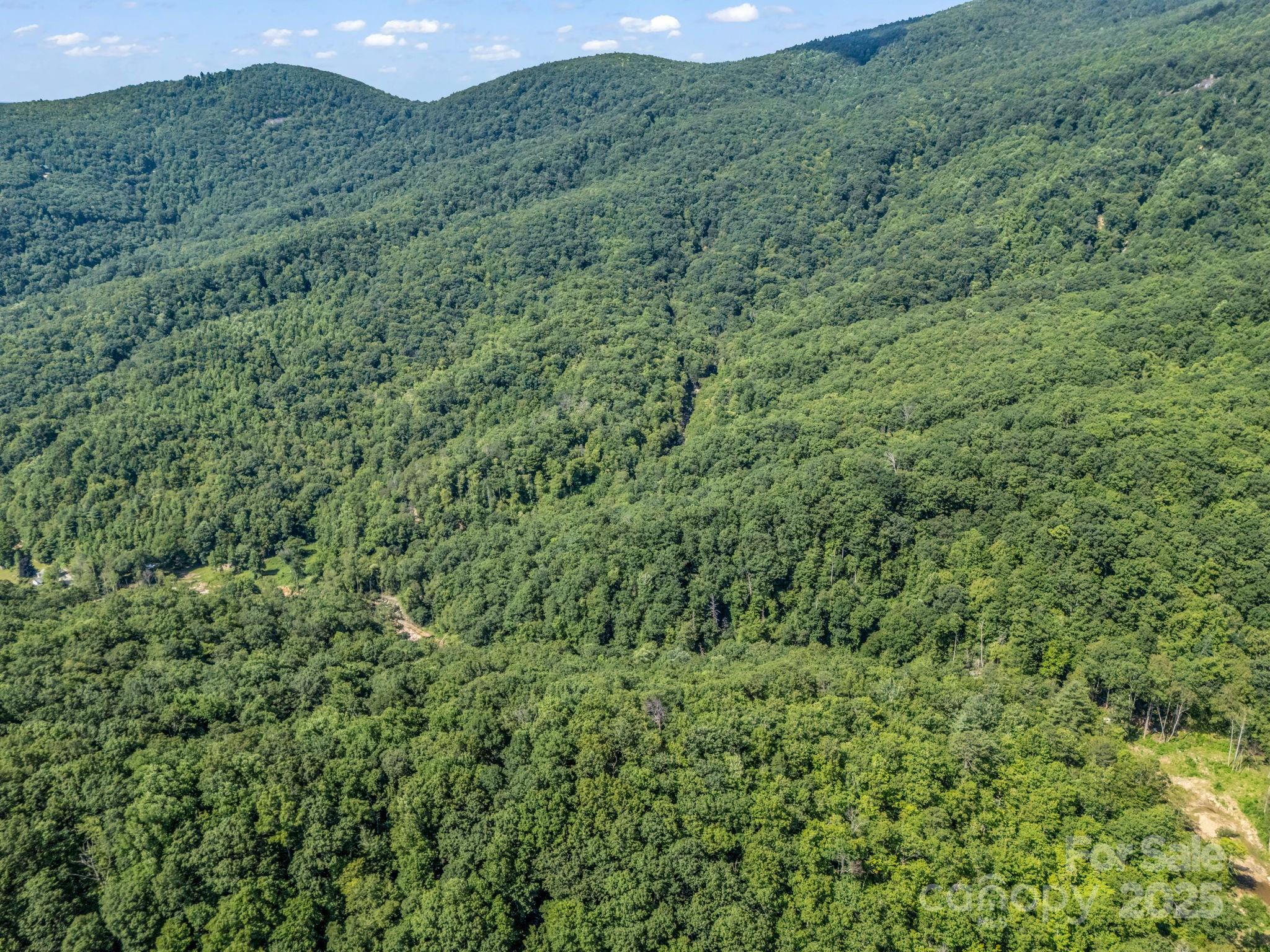 2716 Lower Flat Creek Road Black Mountain NC 28711