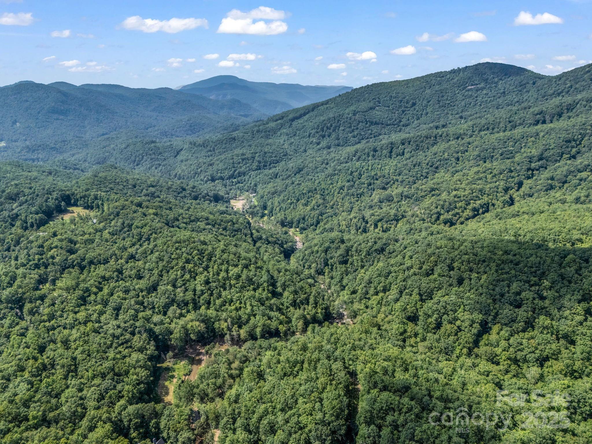 2716 Lower Flat Creek Road Black Mountain NC 28711