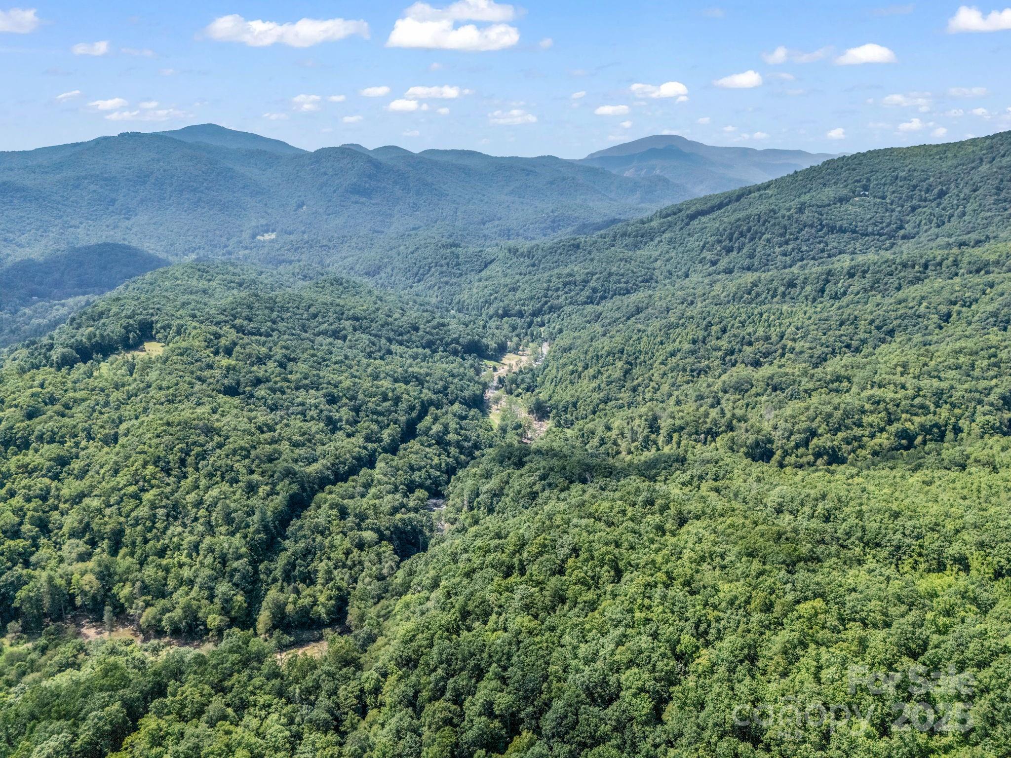 2716 Lower Flat Creek Road Black Mountain NC 28711