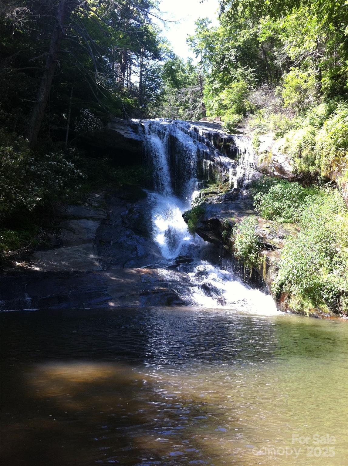 2716 Lower Flat Creek Road Black Mountain NC 28711