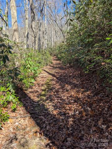 2716 Lower Flat Creek Road Black Mountain NC 28711